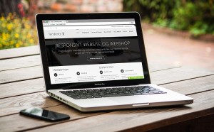 Website fra Tendentz